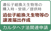 カルタヘナ申請書類作成